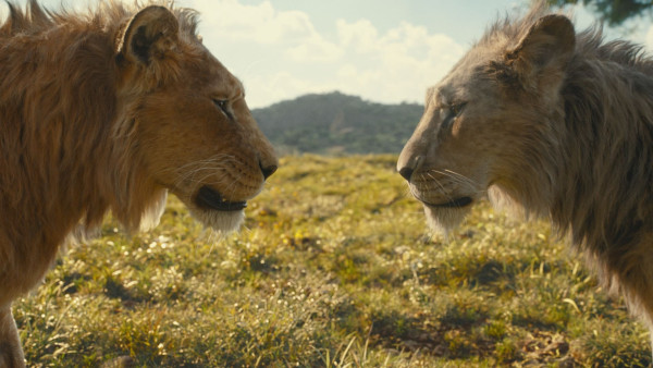 image du film Mufasa : Le Roi Lion