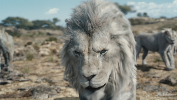 image du film Mufasa : Le Roi Lion