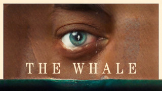 Vignette du film The Whale