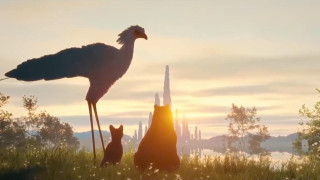 Vignette du film Flow, le chat qui n&rsquo;avait plus peur de l&rsquo;eau