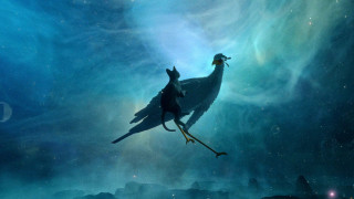 Vignette du film Flow, le chat qui n&rsquo;avait plus peur de l&rsquo;eau