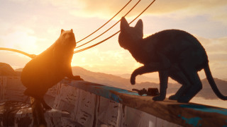Vignette du film Flow, le chat qui n&rsquo;avait plus peur de l&rsquo;eau