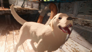 Vignette du film Flow, le chat qui n&rsquo;avait plus peur de l&rsquo;eau