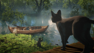 Vignette du film Flow, le chat qui n&rsquo;avait plus peur de l&rsquo;eau