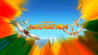 Vignette du film Migration