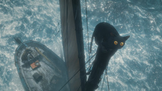 Vignette du film Flow, le chat qui n&rsquo;avait plus peur de l&rsquo;eau