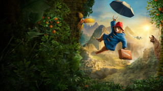 Vignette du film Paddington au Pérou