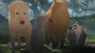 Vignette du film Flow, le chat qui n&rsquo;avait plus peur de l&rsquo;eau