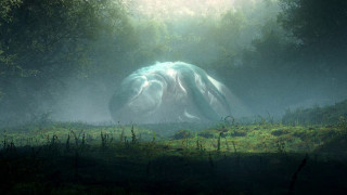 Vignette du film Flow, le chat qui n&rsquo;avait plus peur de l&rsquo;eau