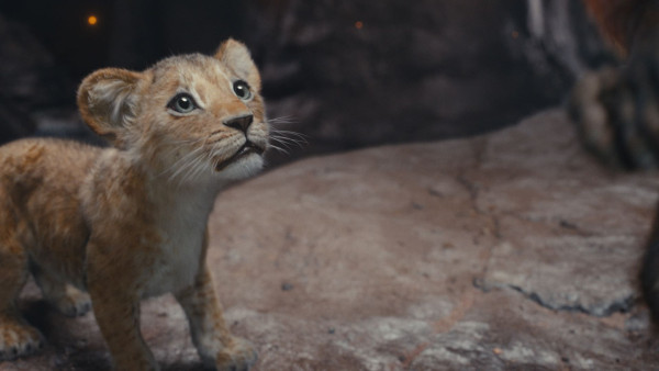 image du film Mufasa : Le Roi Lion