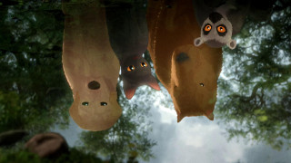 Vignette du film Flow, le chat qui n&rsquo;avait plus peur de l&rsquo;eau