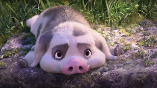 Vignette du film Vaiana 2