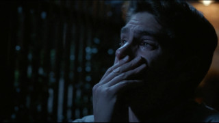 Vignette du film L&rsquo;Amour au présent