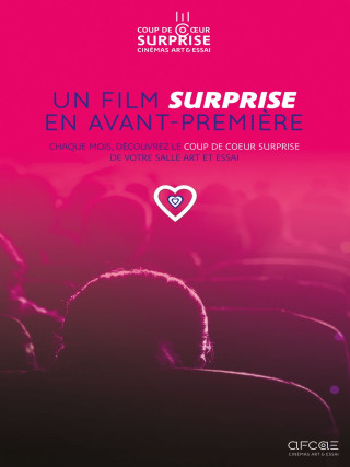 2024 11 COUP DE COEUR SURPRISE AFCAE 4