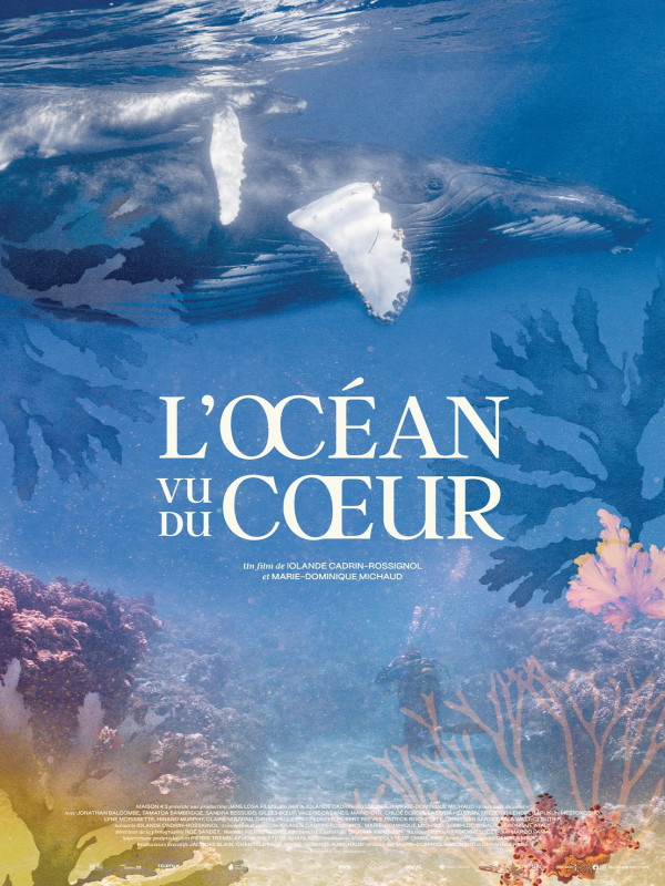 Poster du film L'Océan vu du coeur
