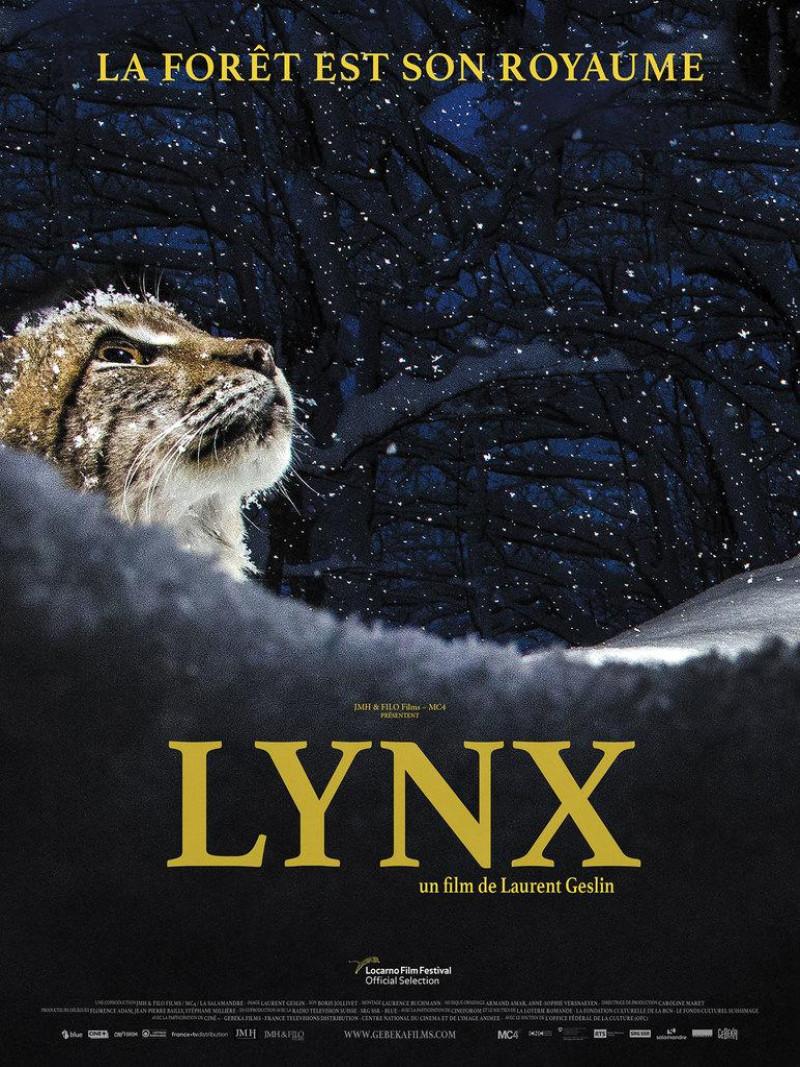 Affiche du film Lynx