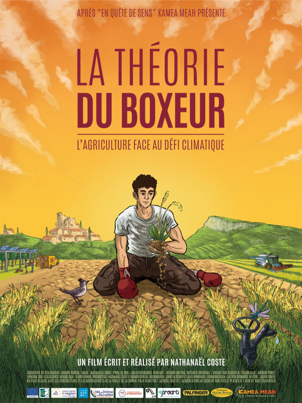 image du film La Théorie du Boxeur