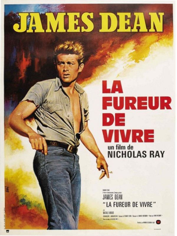 La fureur de vivre La fureur de vivre