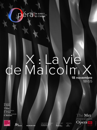 X : LA VIE DE MALCOLM X