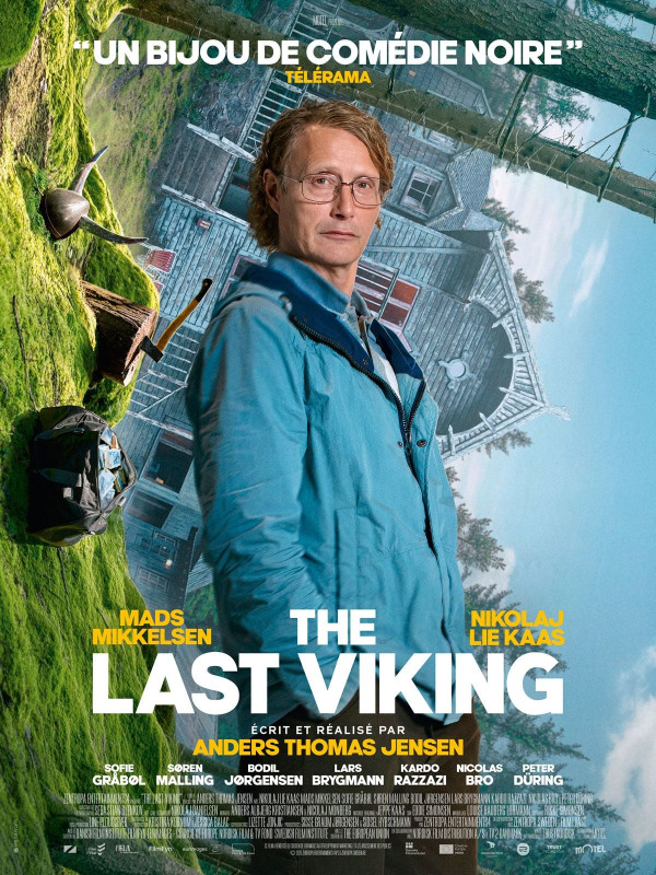 Affiche du film : The Last Viking
