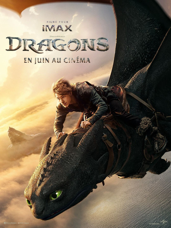 Affiche du film : Dragons