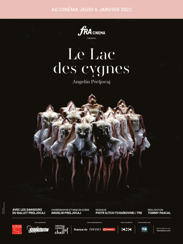 Affiche du film : Le Lac des cygnes