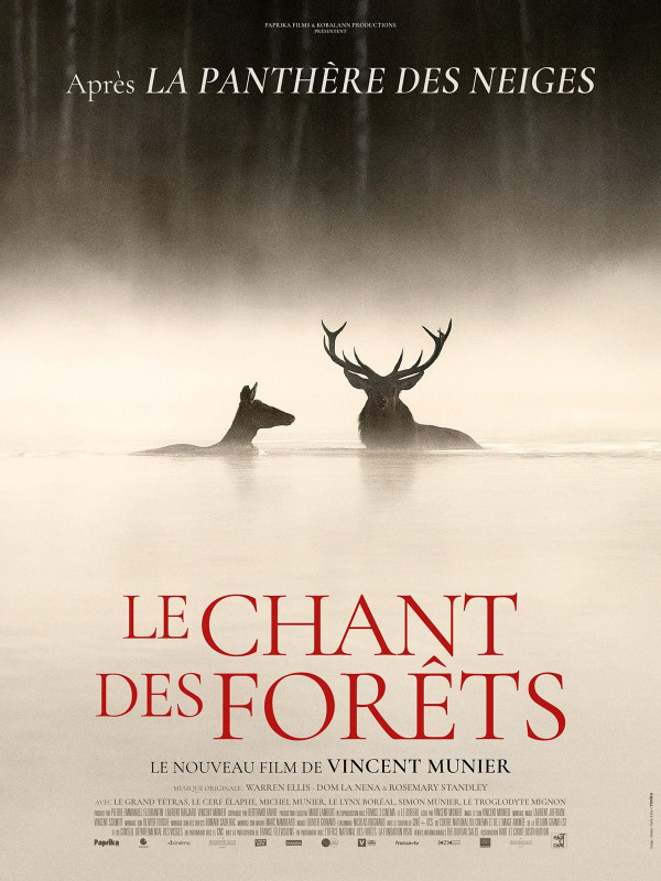 Affiche du film : Le Chant des forêts