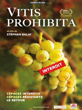 Vitis Prohibita Vitis Prohibita
