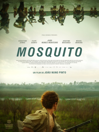 Mosquito Mosquito