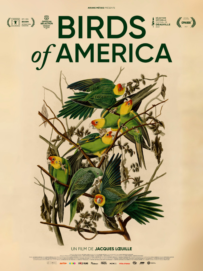 Affiche du film Birds of America