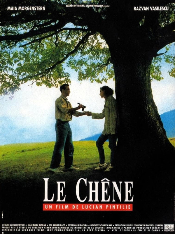 Le chêne