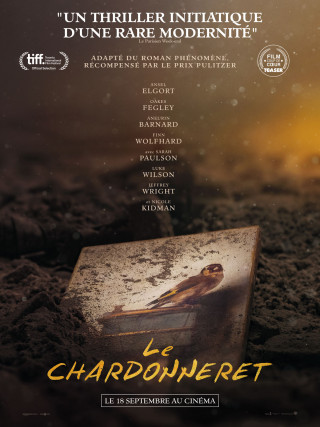 LE CHARDONNERET LE CHARDONNERET